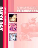 Ebook Saunders solutions in veterinary practice - Small animal oncology: Part 1