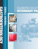 Ebook Saunders solutions in veterinary practice - Small animal gastroenterology: Part 1