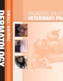 Ebook Saunders solutions in veterinary practice - Small animal dermatology: Part 1