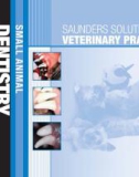 Ebook Saunders solutions in veterinary practice - Small animal dentistry: Part 1