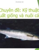 Chuyên đề: Kỹ thuật sản xuất giống và nuôi cá đối