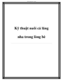 Kỹ thuật nuôi cá lăng nha trong lòng bè