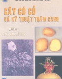 Cây có củ và kỹ thuật thâm canh - Quyển 6 cây khoai tây