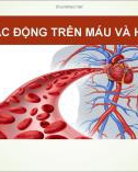 Bài giảng Thuốc tác động trên máu và hệ tạo máu