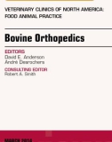 Ebook Bovine orthopedics - An issue of veterinary clinics of north america, food animal practice: Part 1