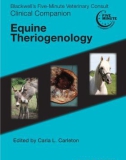 Ebook Blackwell's five-minute veterinary consult clinical companion - Equine theriogenology: Part 1