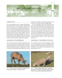 Ebook Sheep medicine (2/E): Part 2