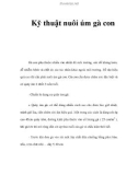 Kỹ thuật nuôi úm gà con