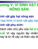 Chương V: VI SINH VẬT HẠI NÔNG SẢN