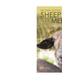 Ebook Sheep medicine (2/E): Part 1