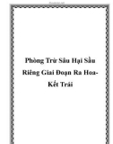 Phòng Trừ Sâu Hại Sầu Riêng Giai Đoạn Ra Hoa - Kết Trái