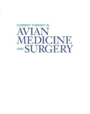 Ebook Current therapy in avian medicine and surgery (1/E): Part 1