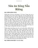 Sâu ăn bông Sầu Riêng