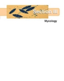 Ebook Concise review of veterinary microbiology (2/E): Part 2