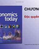 Bài giảng Kinh tế vi mô 1 (Nguyên lý Kinh tế vi mô): Chương 6.2 - TS. Đinh Thiện Đức