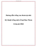 Hướng dẫn trồng rau thơm tại nhà