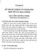 Trồng hoa, cây cảnh trong gia đình part 7