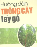 Cách trồng cây lấy gỗ