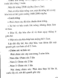 Hướng dẫn trồng cây lấy gỗ part 6