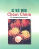 Các kỹ thuật trồng chôm chôm