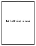 Kỹ thuật trồng cải xanh