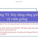 Giống Cây Rừng - Chương 6