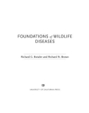 Ebook Foundations of wildlife diseases: Part 1