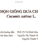 Chọn giống dưa chuột