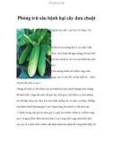 Phòng trừ sâu bệnh hại cây dưa chuột