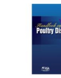 Ebook Handbook on poultry diseases (2/E): Part 1