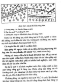 Quản lý cháy rừng ở Việt Nam part 8