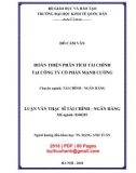 Luận văn Thạc sĩ Tài chính ngân hàng: Hoàn thiện phân tích tài chính tại Công ty cổ phần Mạnh Cường