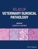 Ebook Atlas of veterinary surgical pathology: Part 1