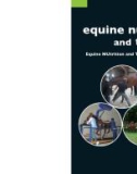 Ebook Applied equine nutrition and training: Part 1