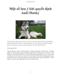 Một số lưu ý khi quyết định nuôi Husky