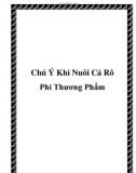 Chú Ý Khi Nuôi Cá Rô Phi Thương Phẩm