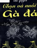 Gà đá - Các bí quyết chọn và nuôi: Phần 1