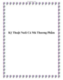 Kỹ Thuật Nuôi Cá Mú Thương Phẩm