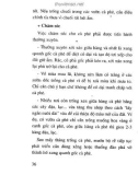 Hướng dẫn trồng cây trong trang trại – Cà phê part 5