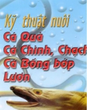 Ngư Nghiệp - Cá Quả, Cá Chình, Cá Chạch phần 1