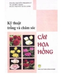 Hoa hồng và những kỹ thuật trồng, chăm sóc