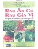 Kỹ thuật trồng rau an toàn, năng suất, chất lượng cao - Rau ăn củ, rau gia vị: Phần 1