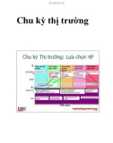 Chu kỳ thị trường