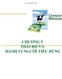 Bài giảng Hành vi người tiêu dùng: Chương 9 - Thái độ và hành vi người tiêu dùng