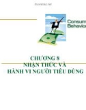 Bài giảng Hành vi người tiêu dùng: Chương 8 - Nhận thức và hành vi người tiêu dùng