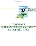 Bài giảng Hành vi người tiêu dùng: Chương 3 - Giai tầng xã hội và hành vi người tiêu dùng