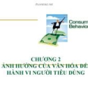 Bài giảng Hành vi người tiêu dùng: Chương 2 - Ảnh hưởng của văn hóa đến hành vi người tiêu dùng