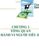 Bài giảng Hành vi người tiêu dùng: Chương 1 - Tổng quan về hành vi người tiêu dùng