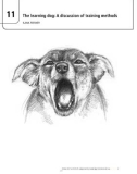 Ebook The domestic dog - Its evolution, behavior and interactions with people (2/E): Part 2