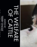 Ebook The welfare of cattle: Part 1